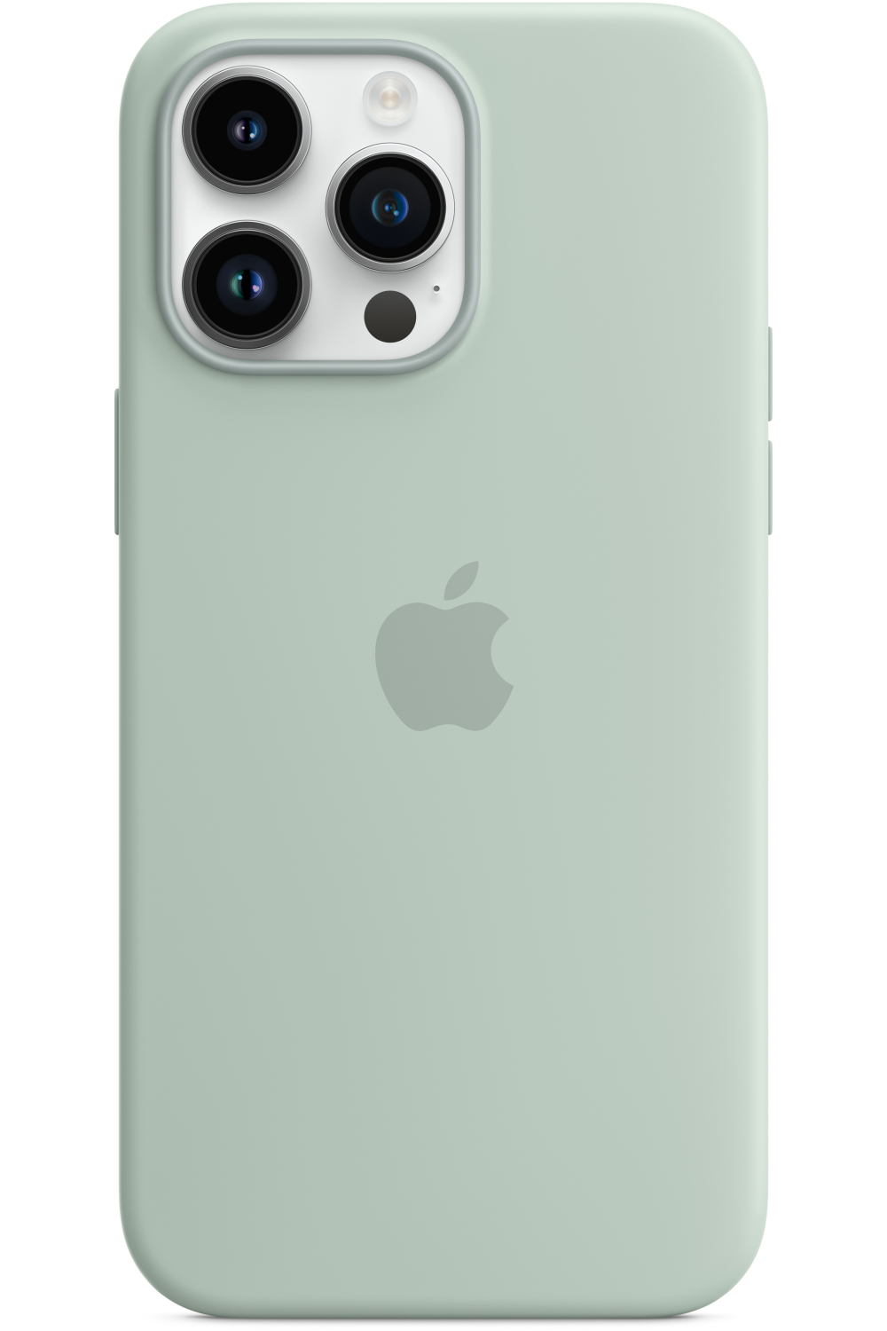 Apple Mpty3Zm/A Apple Silicone Case With Magsafe Iphone 14 Pro Max Succulent